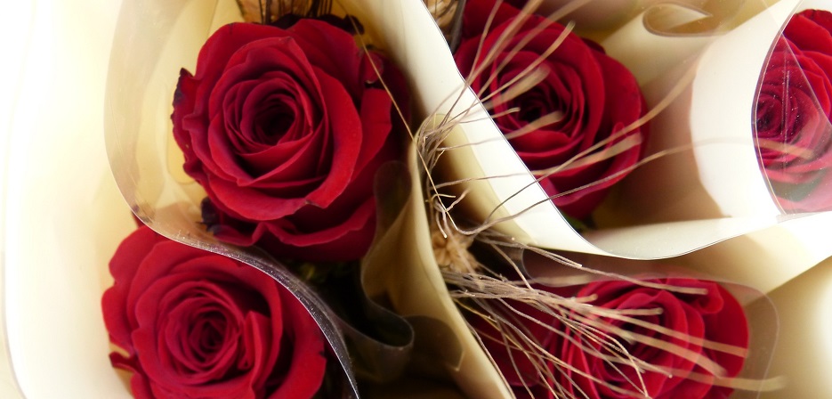 primer plano de un ramo de rosas rojas envueltas individualmente