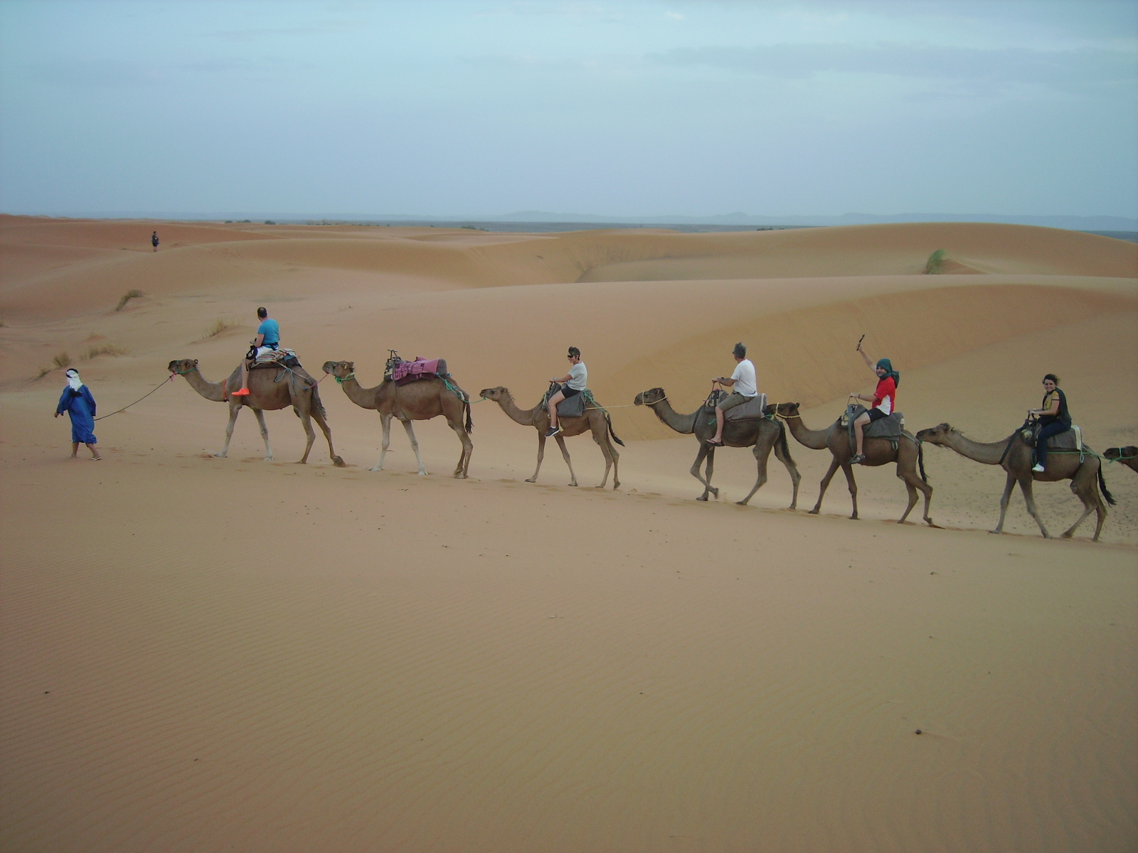6 personas haciendo una excursión en camello por el desierto