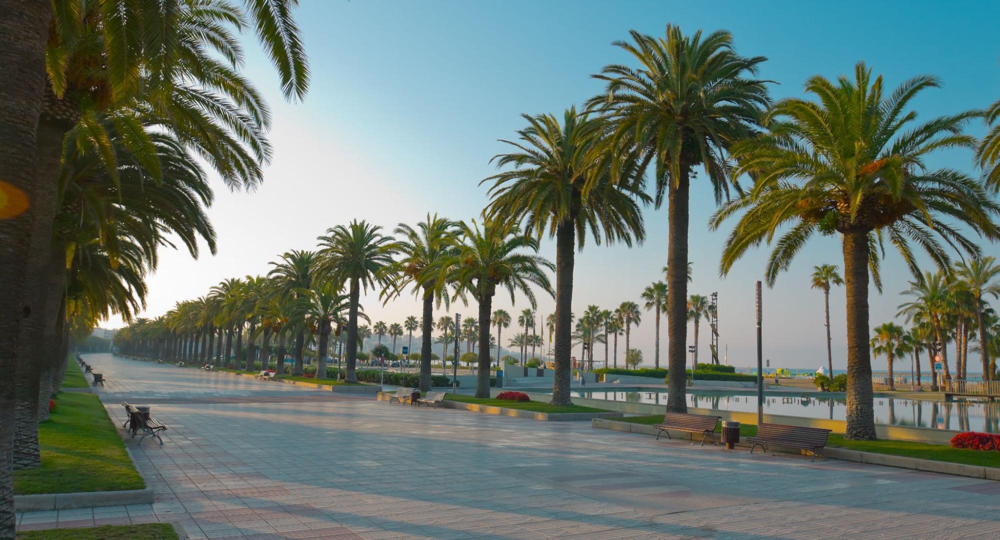 Paseo marítimo de Salou con palmeras y el mar al fondo