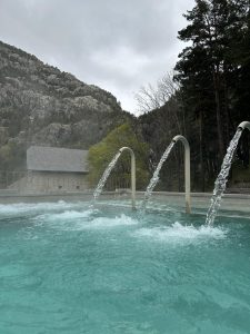 IMG_1950