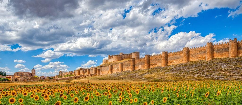 Castillo de Berlanga junto a un campo de girasoles