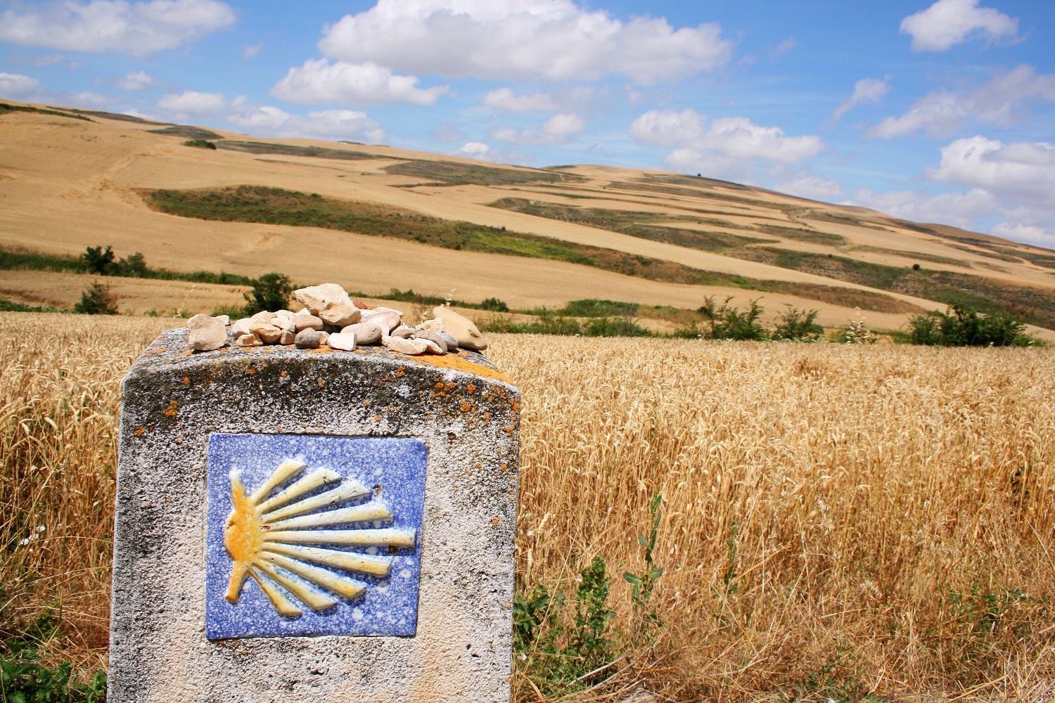 camino de Santiago